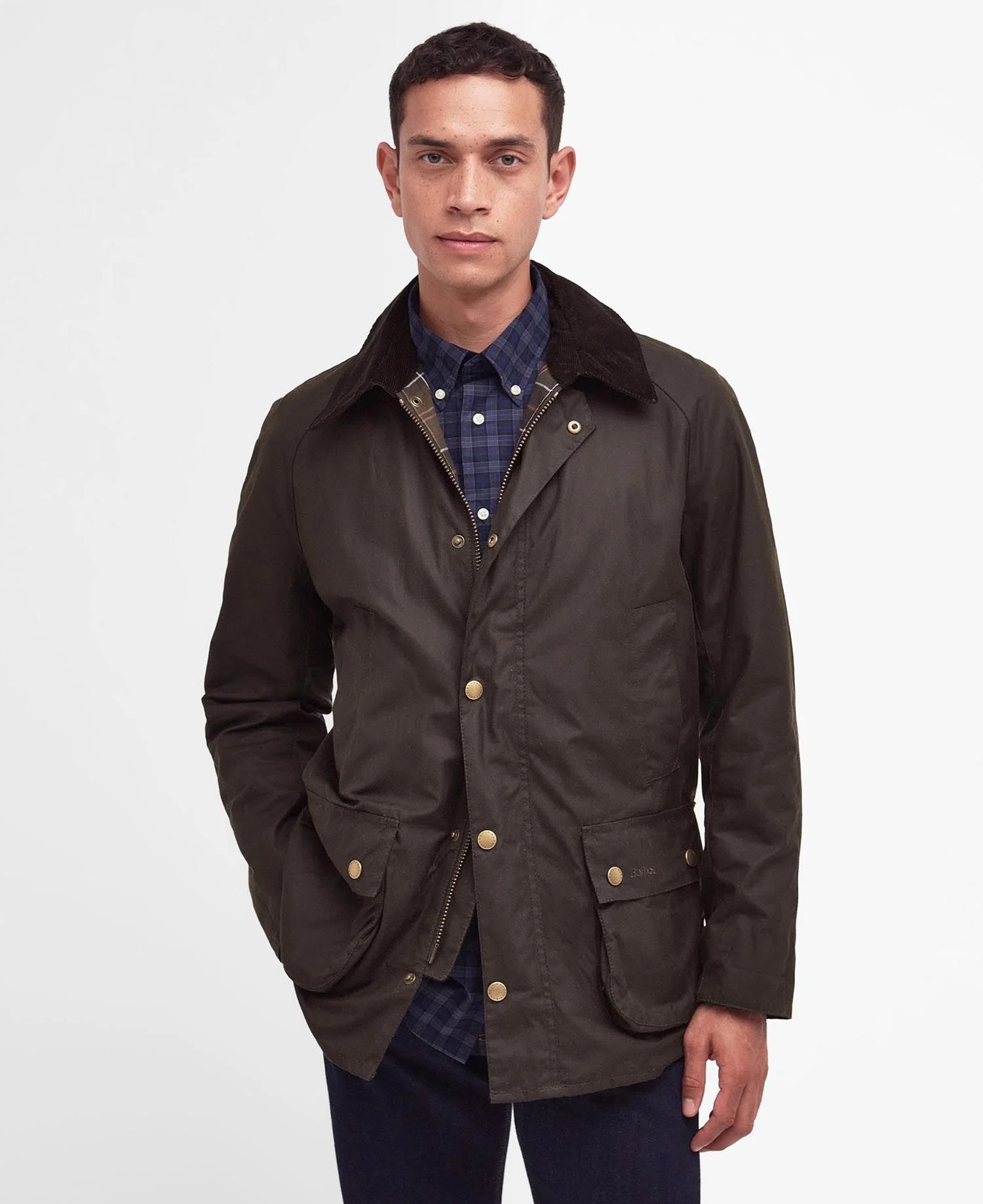 Ashby Waxed Jacket - Olive